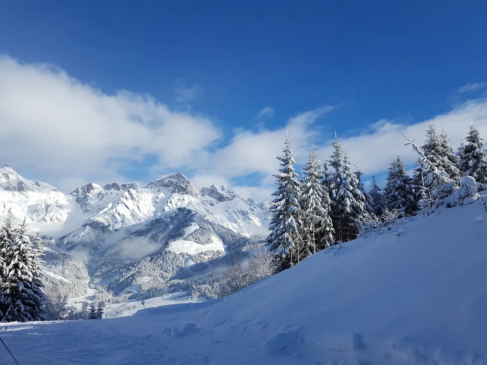 Ski-Abteilung