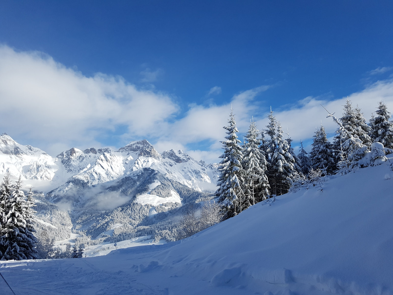Ski